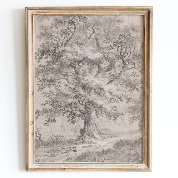 Vintage European Oak Tree Sketch Landscape Art Print