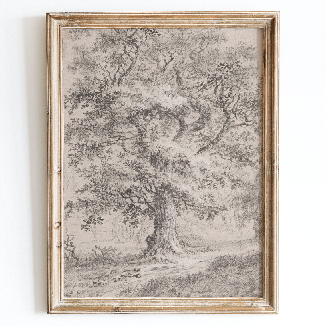 Vintage European Oak Tree Sketch Landscape Art Print