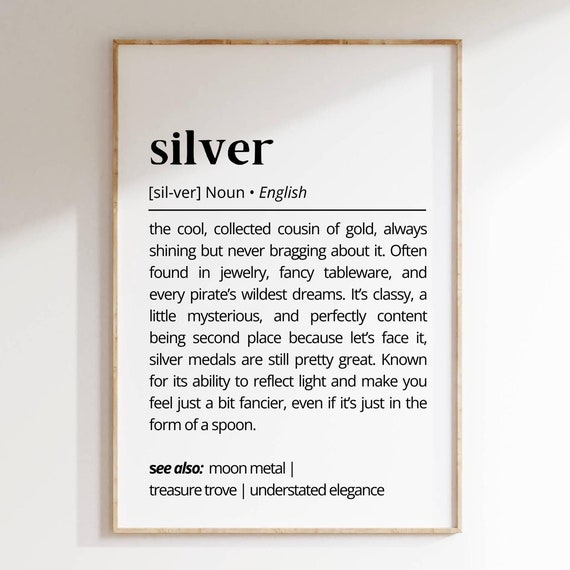 Silver Funny Dictionary Definition Poster Metal Home Decor Gift