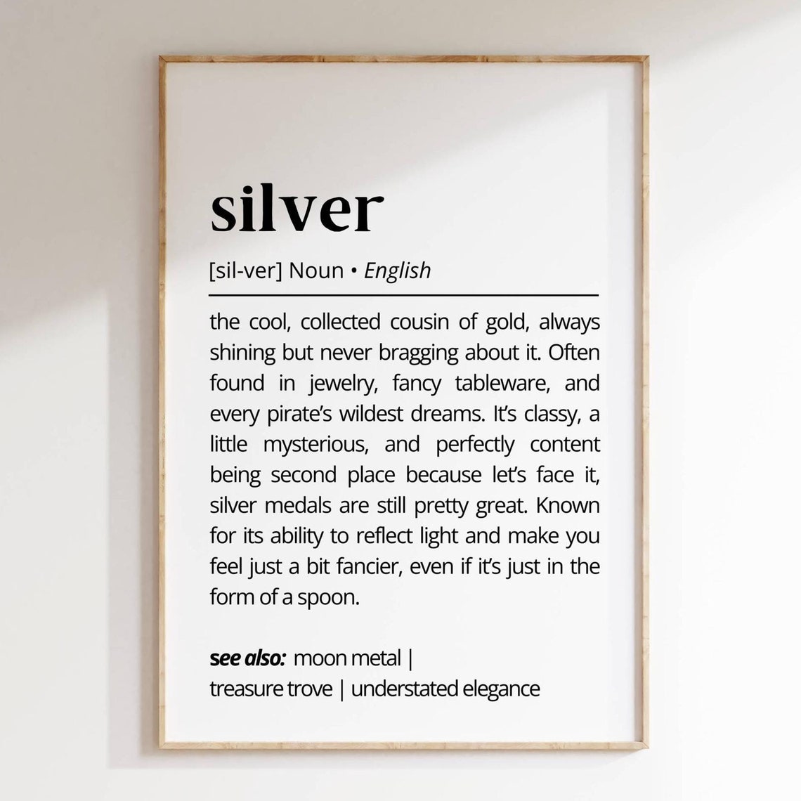 Silver Funny Dictionary Definition Poster Metal Home Decor Gift