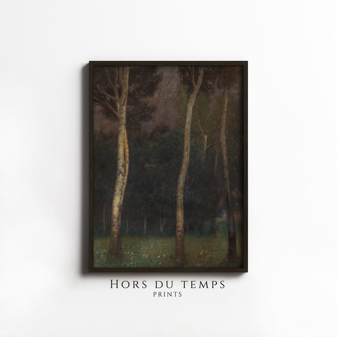 Dark Vintage Birch Grove Night Moonlit Forest Tall Trees Poster