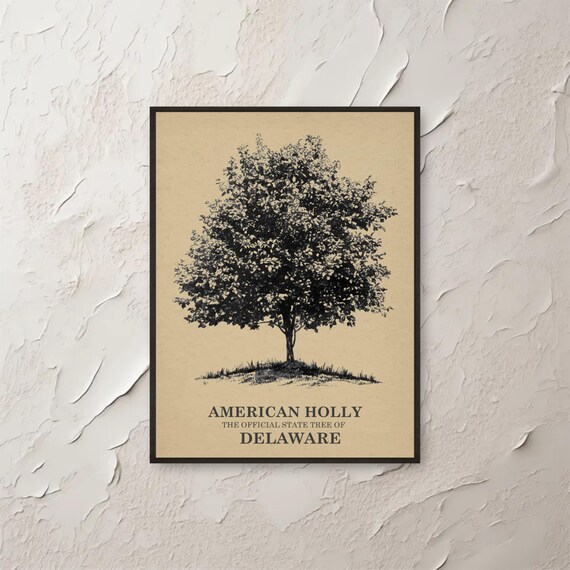 Holly Wall Art Delaware State Tree Print Botanical Minimalist Poster Home Decor