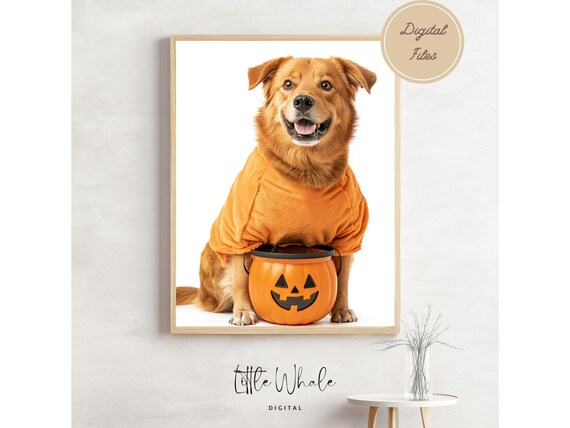 Happy Brown Dog in Pumpkin Costume Holding Halloween Candy Bucket Poster