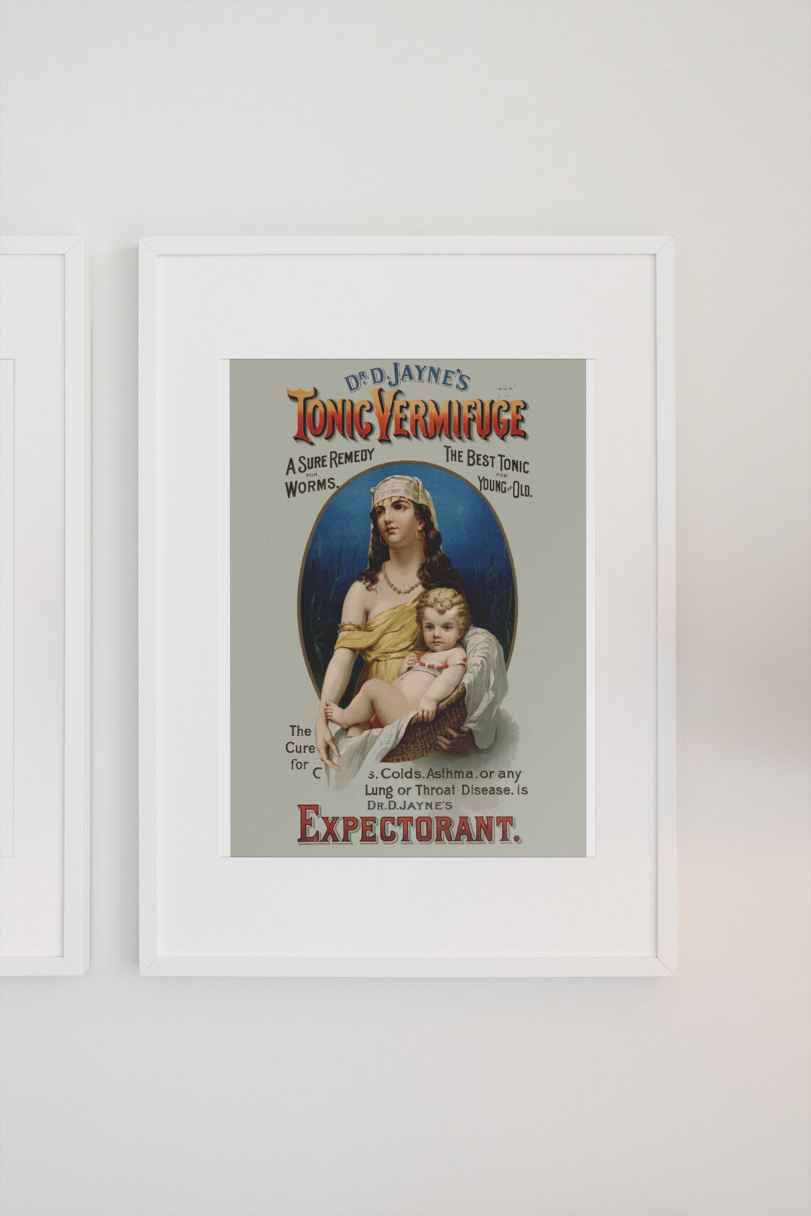 Doctor Jaynes Tonic Vermifuge Expectorant Vintage Medicine Poster - Image 3