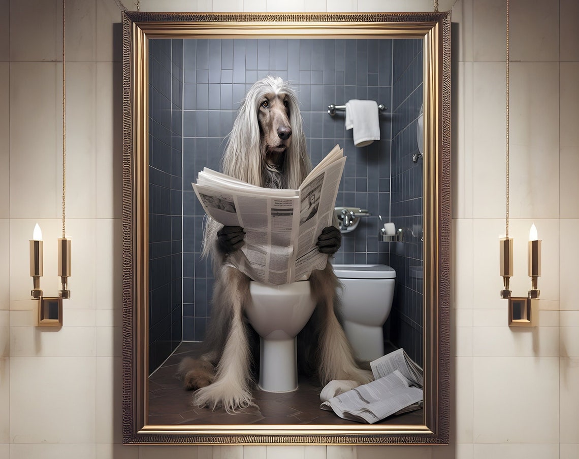 Afghan Hound Reading Newspaper Toilet Elegant Bathroom Art Poster