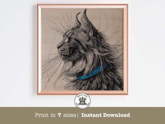 Maine Coon Cat Black Ink Sketch Portrait Blue Collar Rustic Wood Art Print
