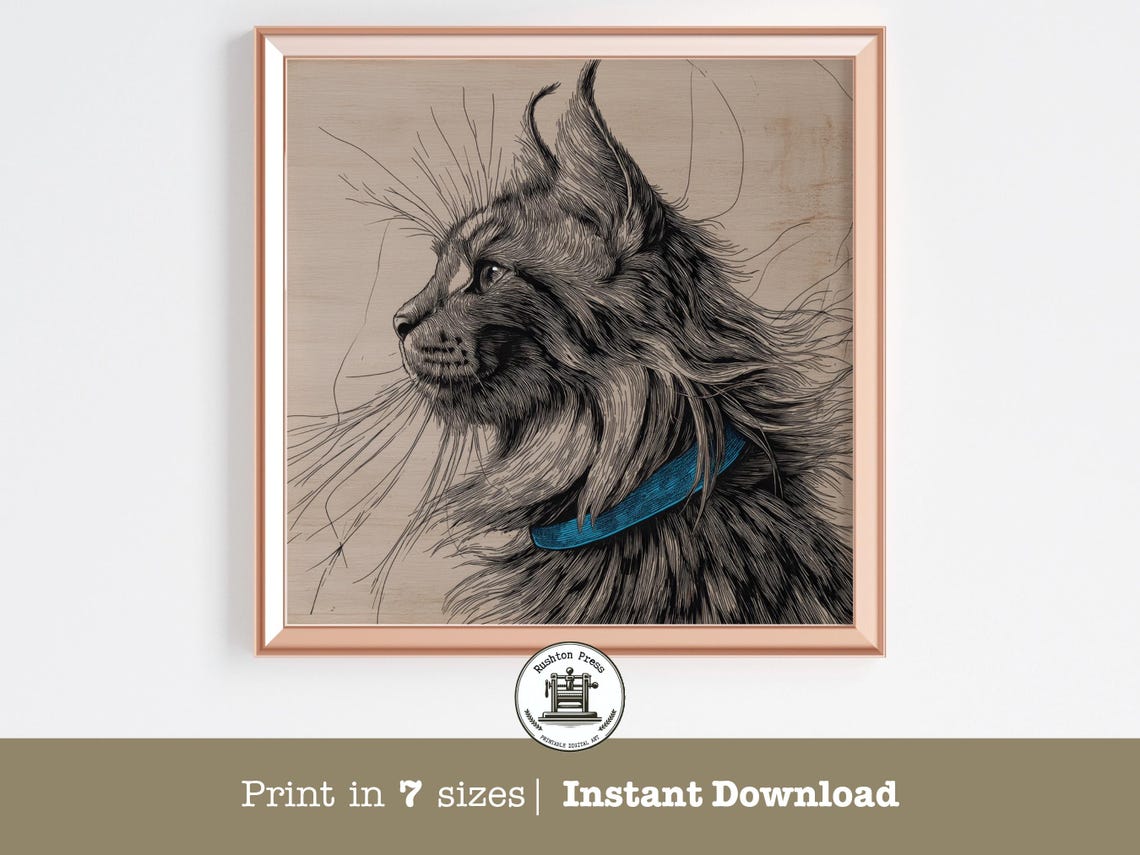 Maine Coon Cat Black Ink Sketch Portrait Blue Collar Rustic Wood Art Print