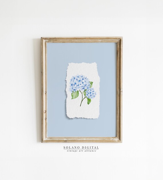Blue Hydrangea Watercolor Coastal Floral Vintage Botanical Poster