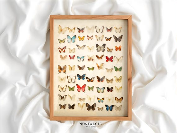 Vintage Butterfly Wall Art Botanical Insect Print Botanical Butterfly Collection Poster Vintage Poster Butterflies