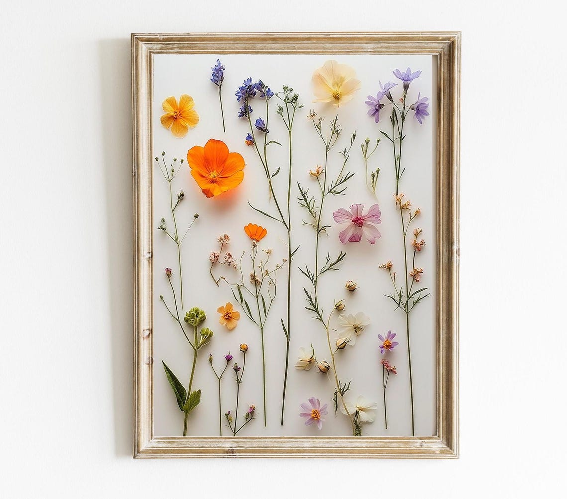 Orange Poppy Pressed Wildflowers Botanical Minimalist Floral Art Print