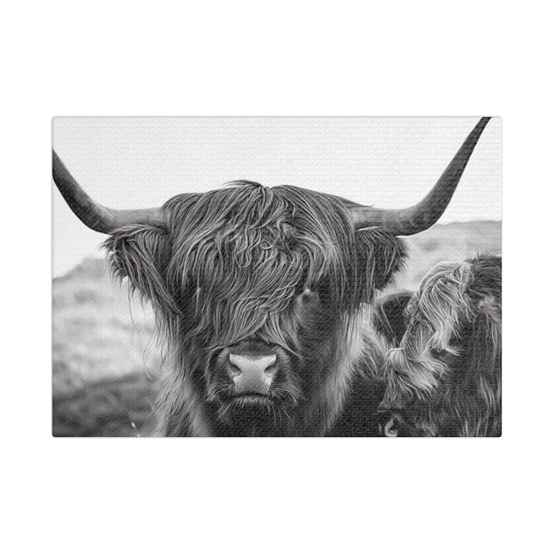 Highland Cow Art Print, Rustic Farmhouse Decor