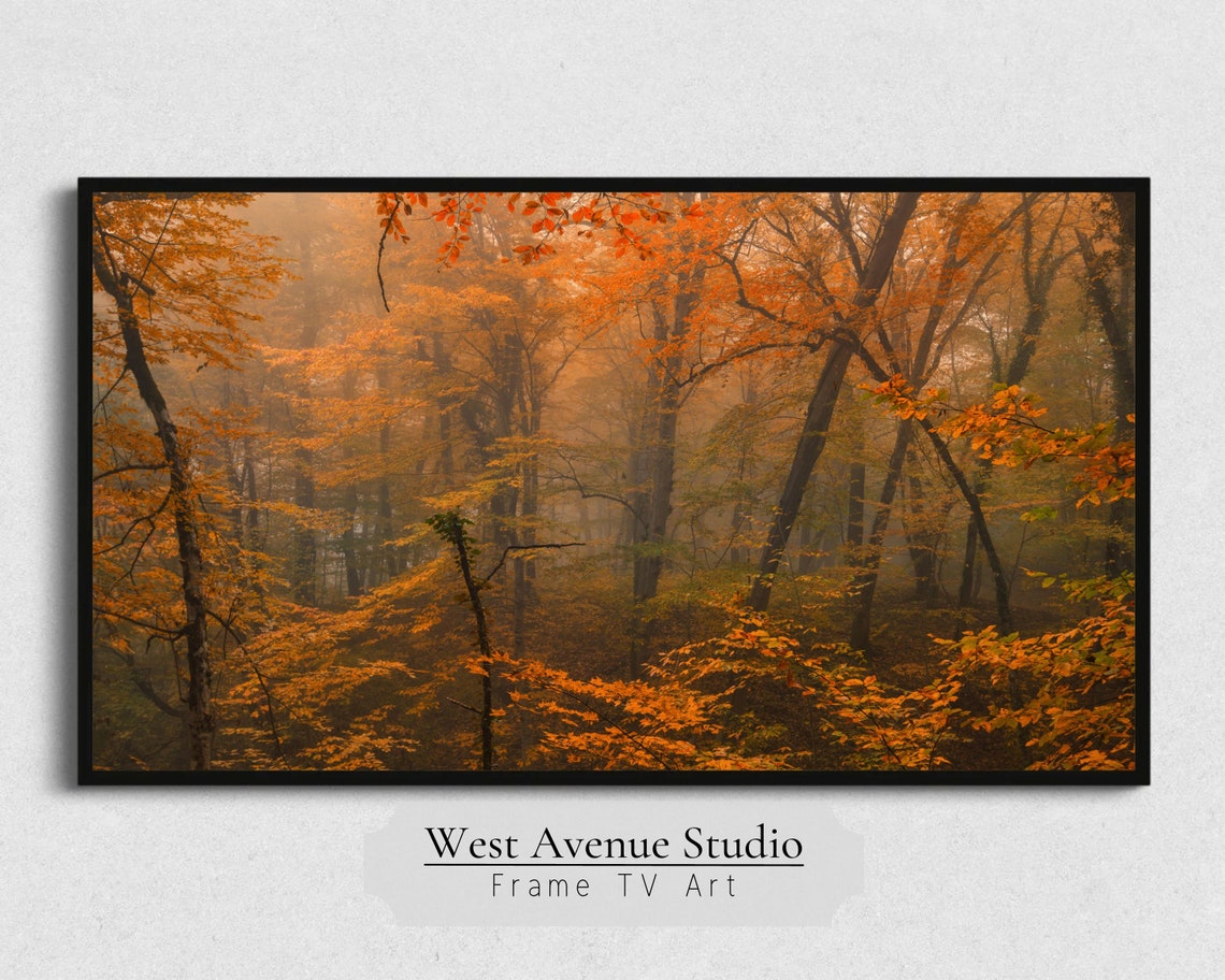 Misty Orange Autumn Forest Golden Fall Trees Foggy Woodland Poster - Image 5