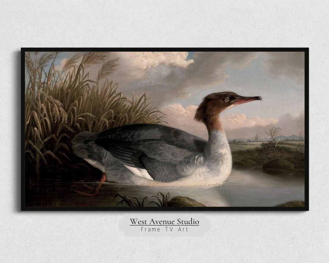 Vintage Duck Waterfowl Painting Reeds River Wildlife Nature Art Poster - Image 5