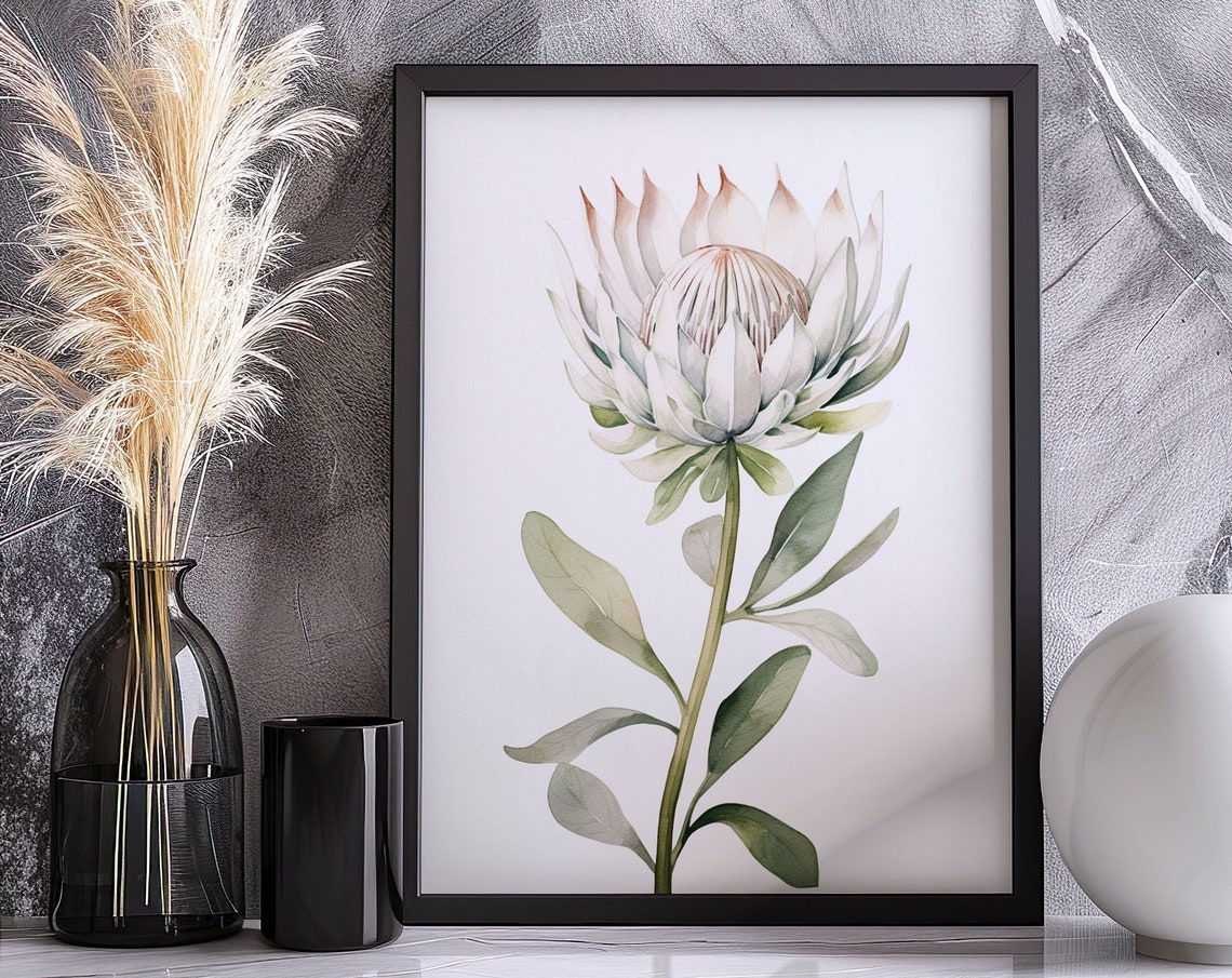 Single White King Protea Bloom Watercolor Botanical Study Poster