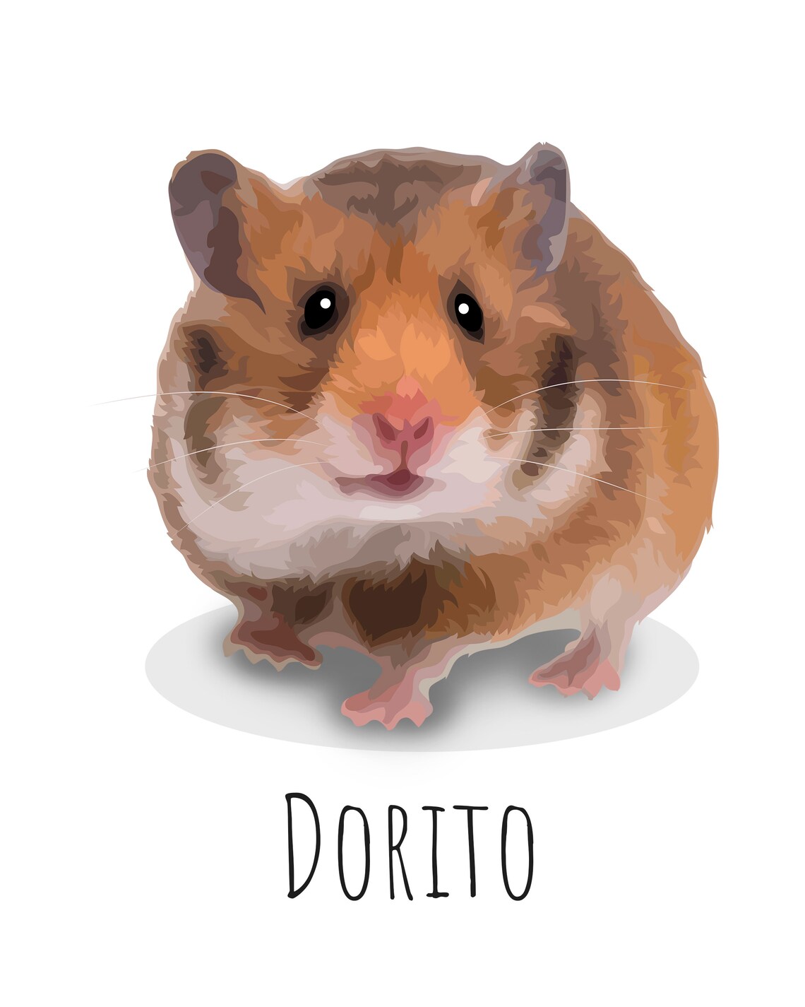 Custom Fluffy Grey Guinea Pig Portrait Frisco Puffball Gift Poster - Image 5