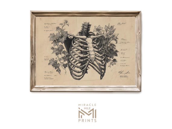 Halloween Anatomical Ribcage With Flowers Illustration Gothic Vintage Spooky Wall Art Haunted Anatomy Print Dark Academia Decor 385