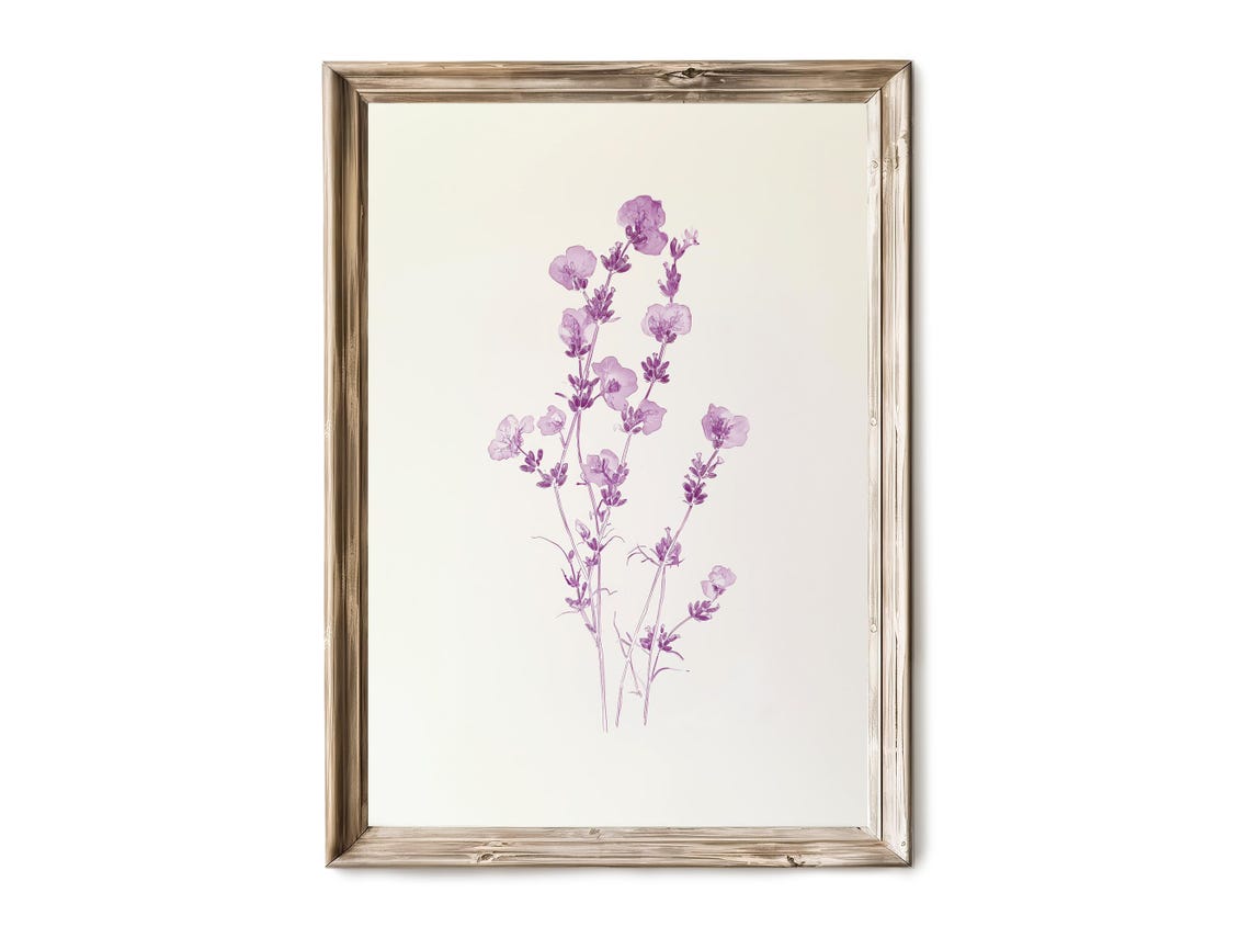 Lavender Stem Illustration Wall Art Vintage Botanical Drawing Delicate Purple Flower Decor Artwork 33