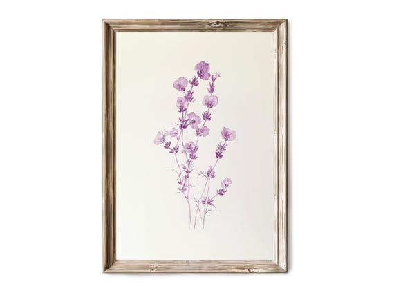 Lavender Stem Illustration Wall Art Vintage Botanical Drawing Delicate Purple Flower Decor Artwork 33