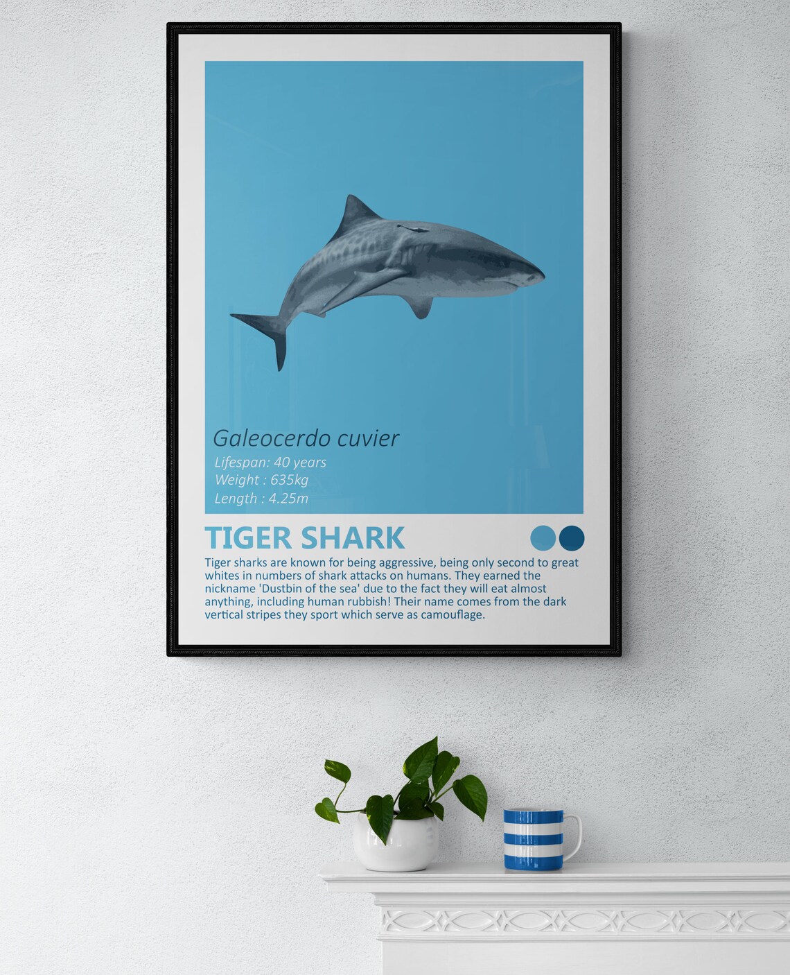 Tiger Shark Fact Sheet, Nautical Kids Room Decor - Image 3