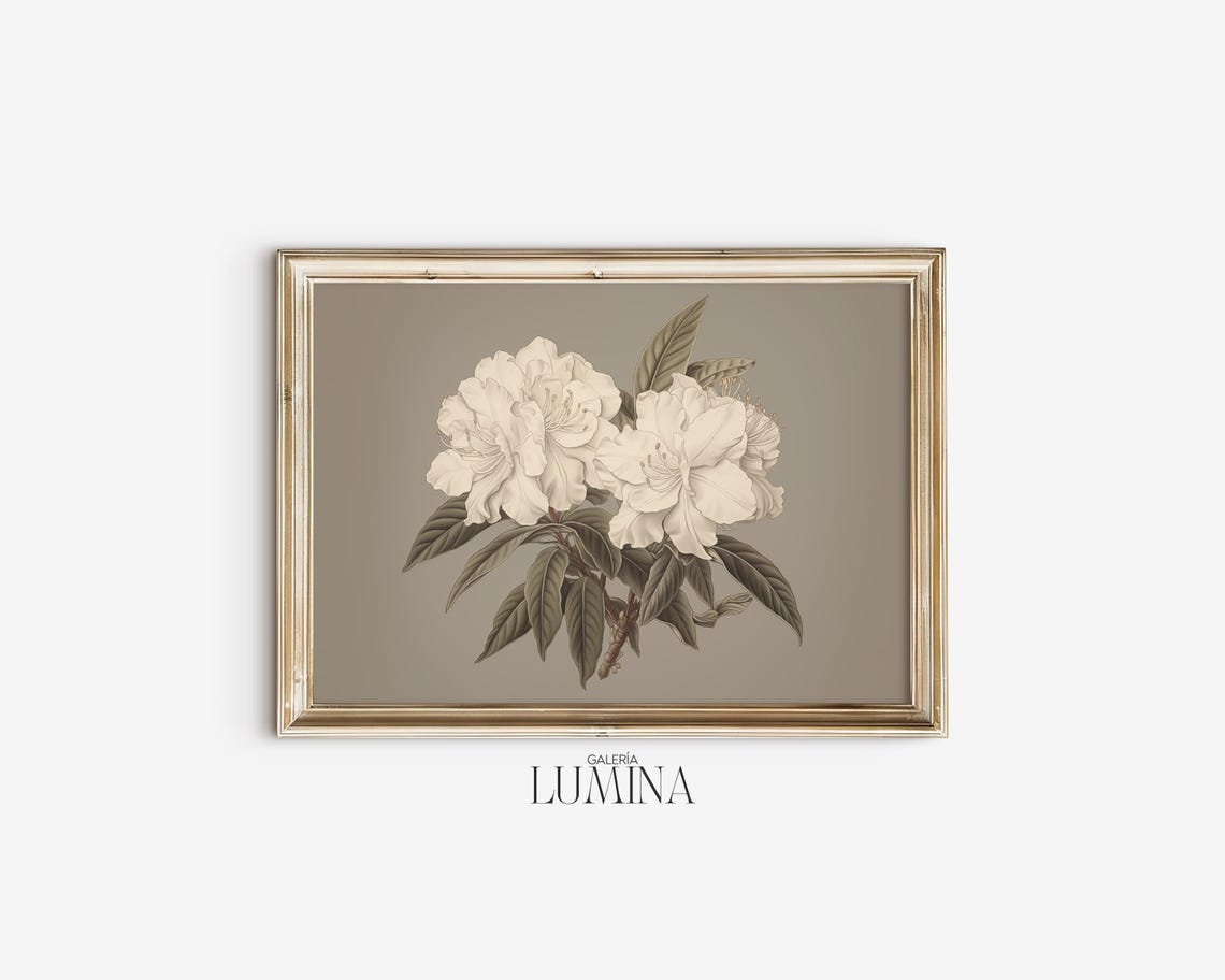 White Rhododendron Vintage Dark Botanical Drawing Sepia Poster - Image 2