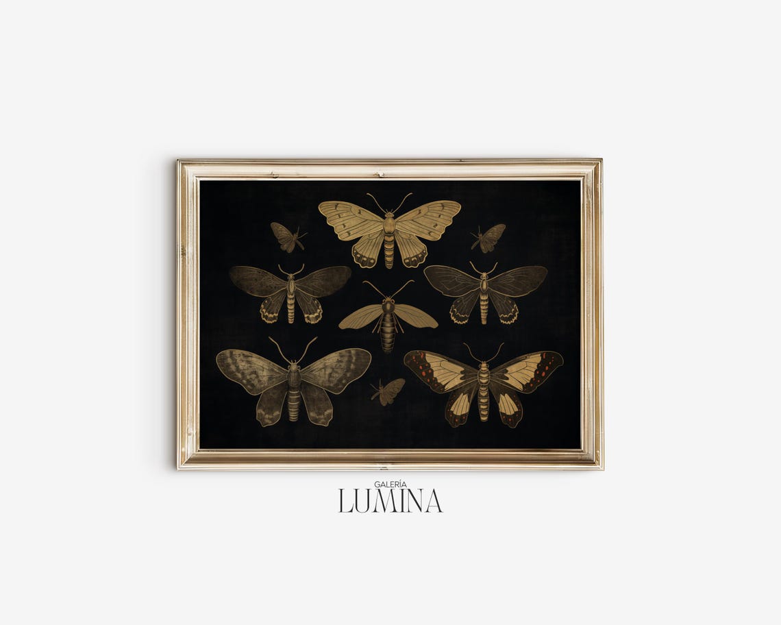Dark Moody Butterfly Print Vintage Butterflies Painting Black Butterfly Print Moody Insect Wall Art Art Frame Tv Art 417 - Image 2