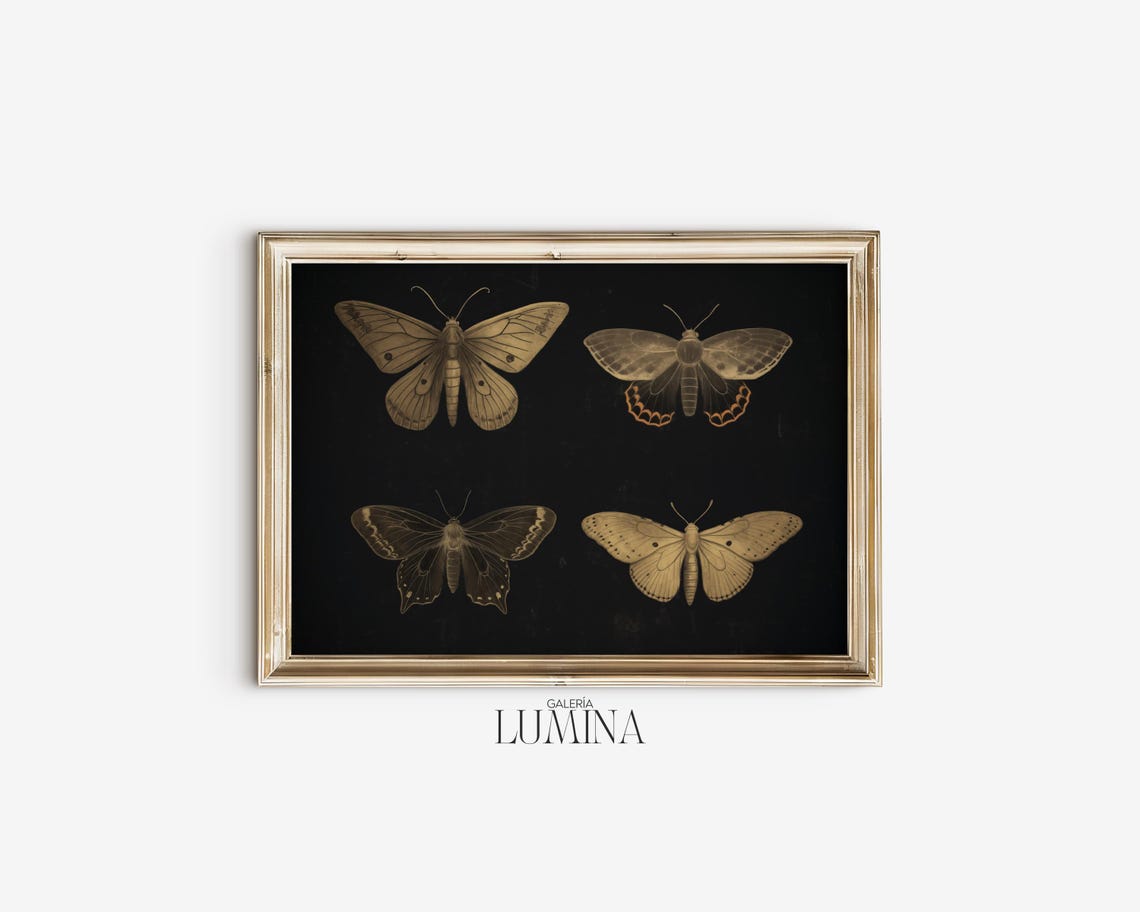 Dark Moody Butterfly Print Vintage Butterflies Painting Black Butterfly Print Moody Insect Wall Art Art Frame Tv Art 463 - Image 2
