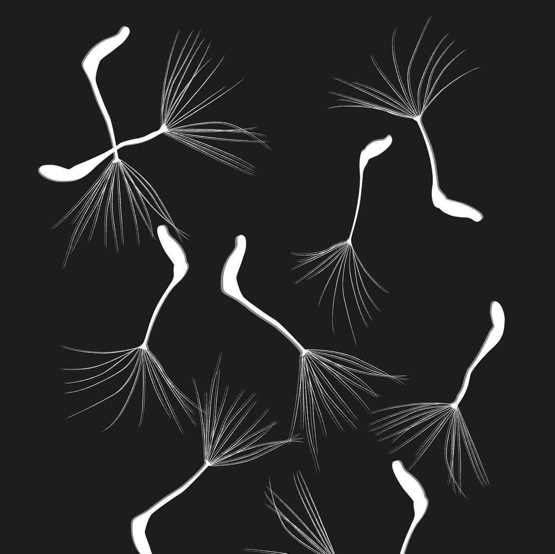 Dandelion Botanical Artwork, Wall Art Print - Image 2