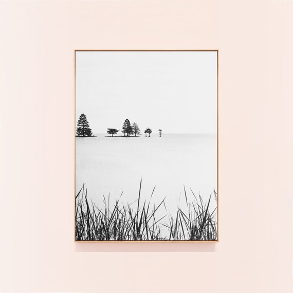 Forest Print Nature Art Print Nature Photo Black And White Print Landscape Minimalist Photography Art Print