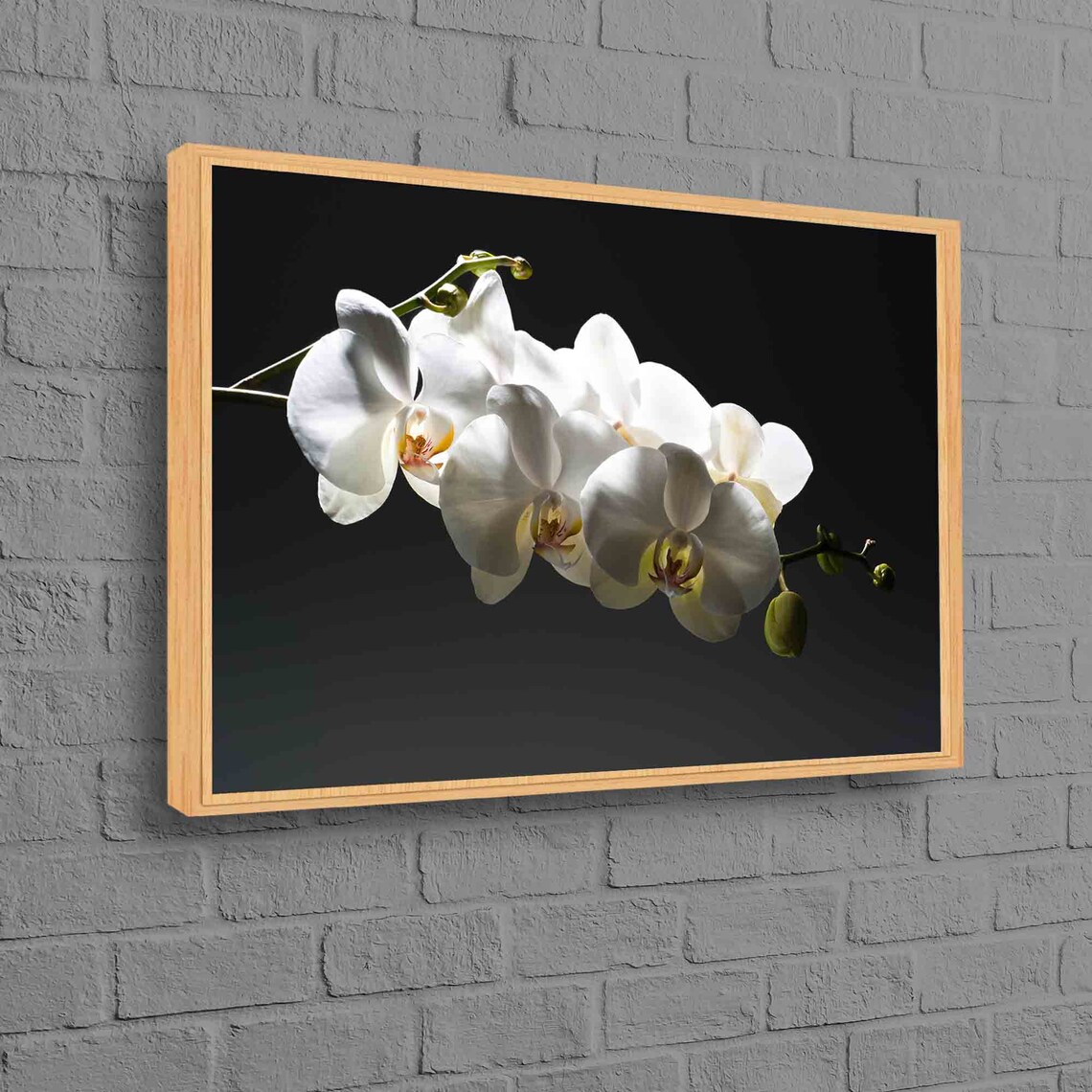 White Orchid Branch Elegant Black Background Floral Art Poster