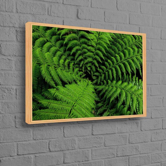 Custom Canvas Flower Wall Decor Botanical Poster Gift Tropical Green Fern Leaves Art Nature