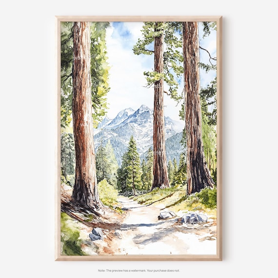 Sequoia National Park Giant Trees Mountain Watercolor Poster