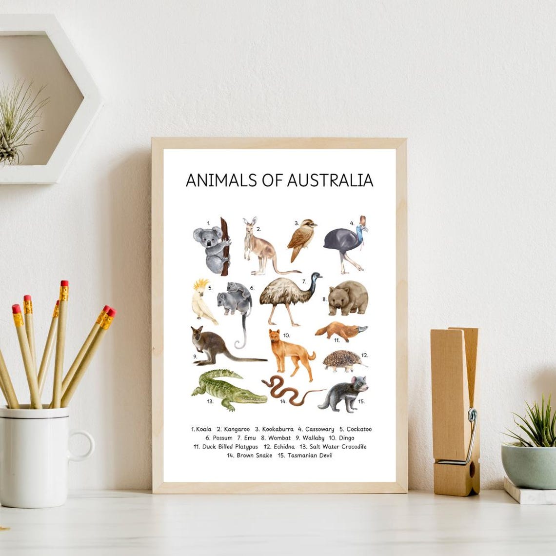 Animals Of Australia Educational Chart Kids Animal Learning Poster - Image 4