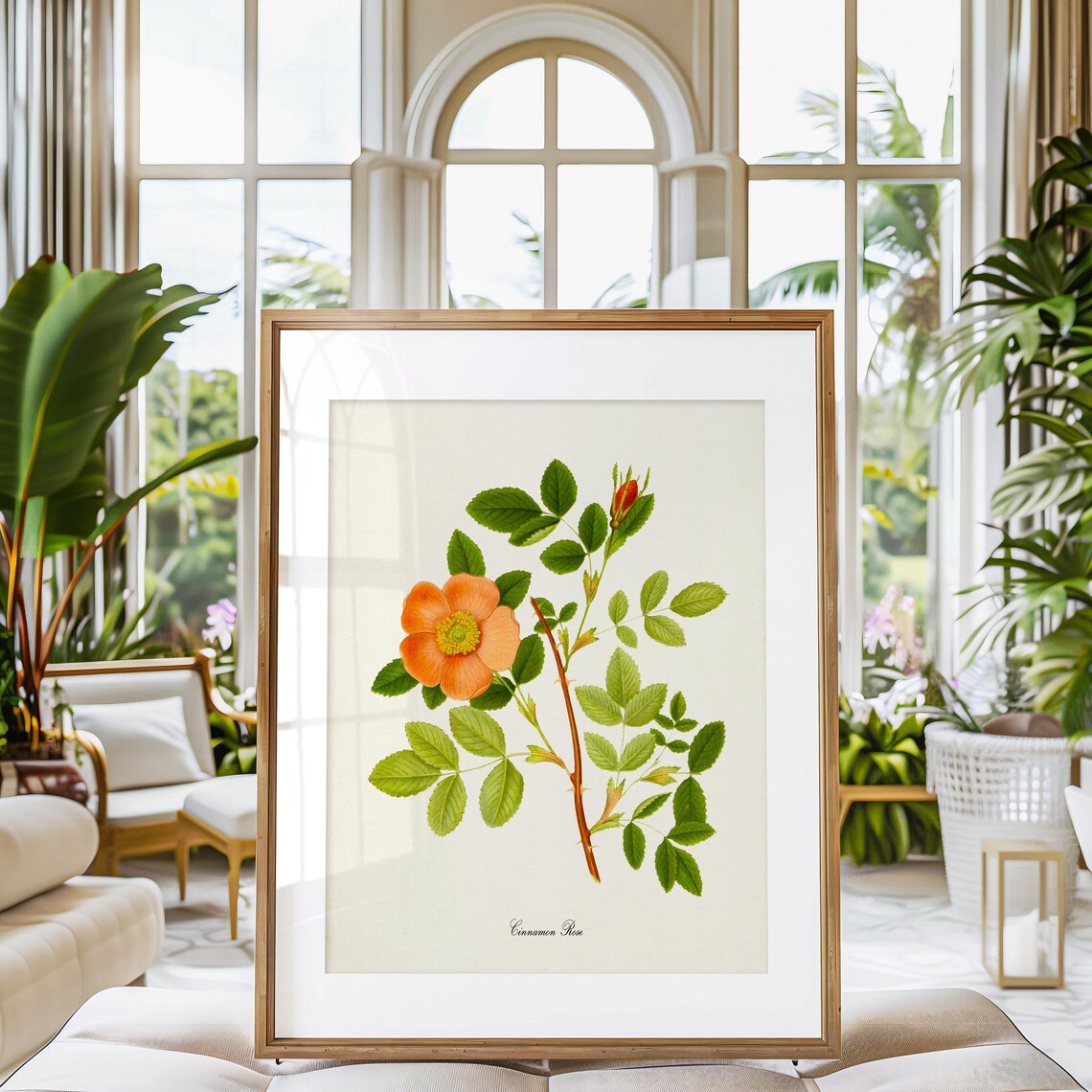 Cinnamon Rose Flower Art Print, Botanical Decor - Image 3