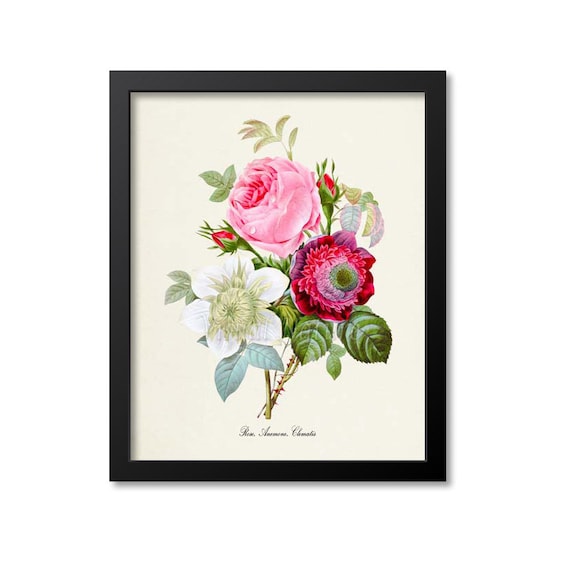 Rose Anemone Clematis Botanical Art Print, Flower Wall Art
