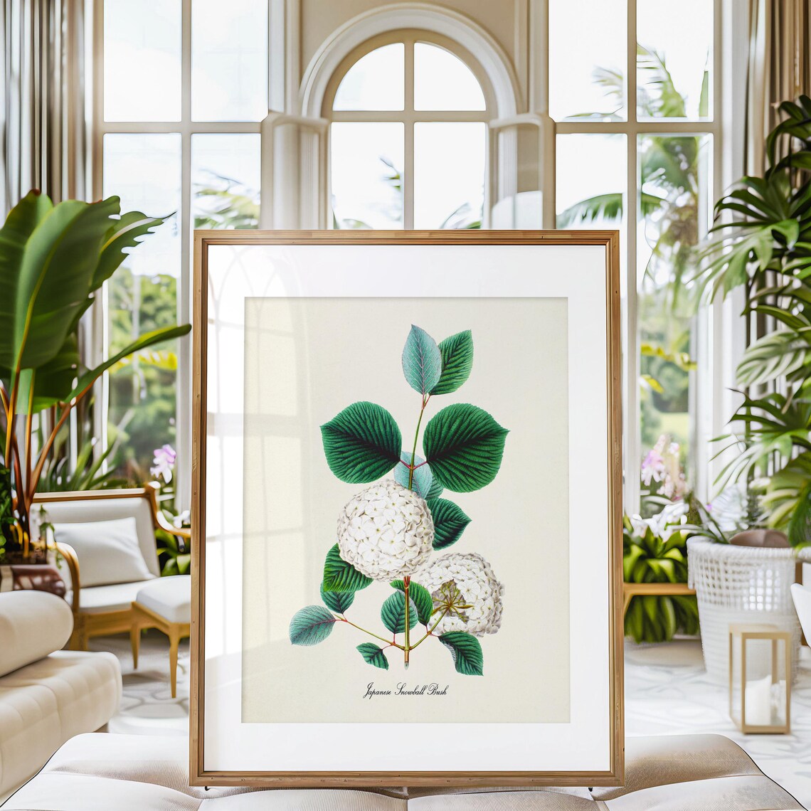 Japanese Snowball Bush Botanical Floral Art Print - Image 3