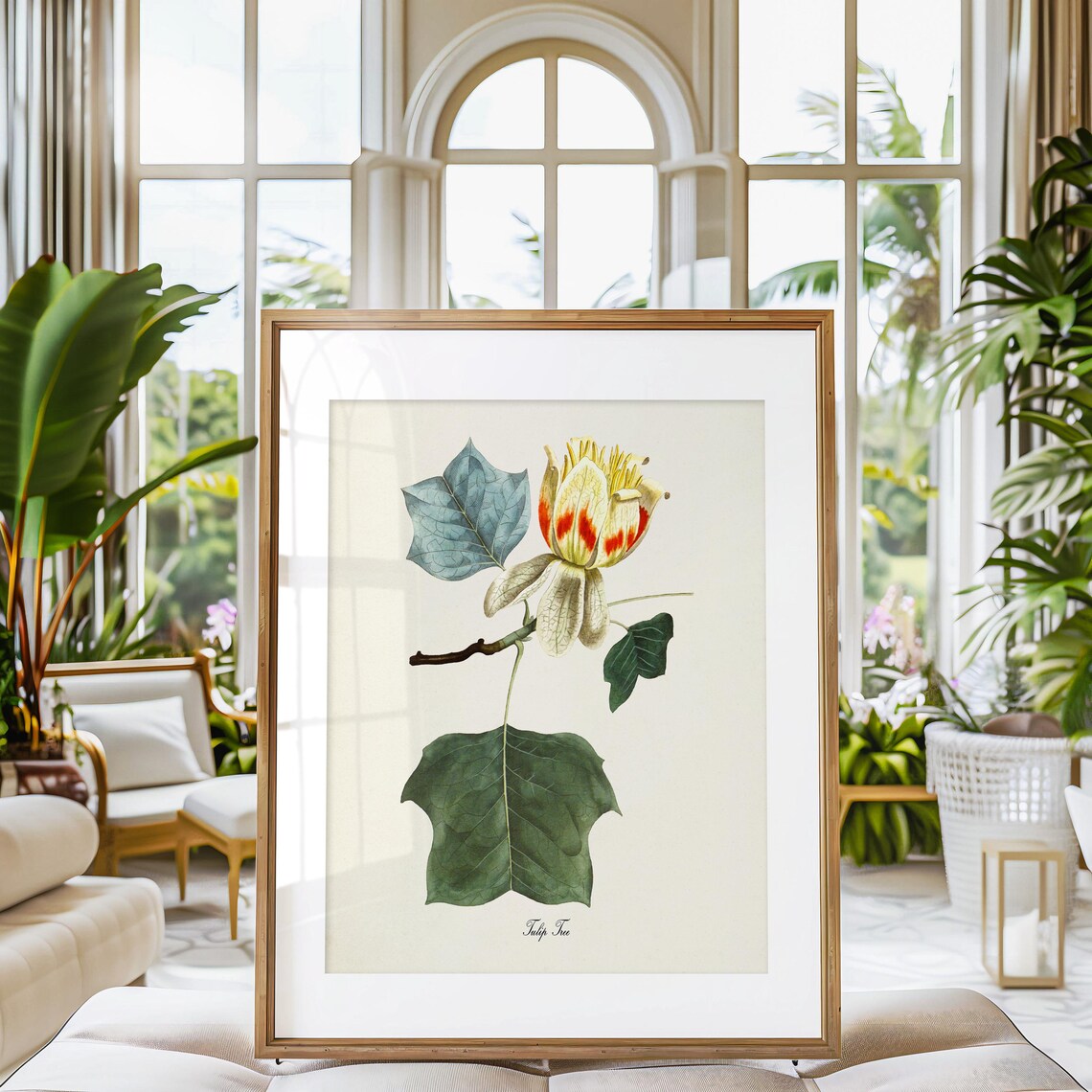Tulip Tree Botanical Art Print, Floral Wall Art - Image 3