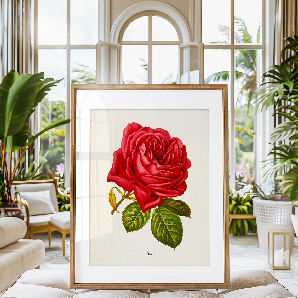 Red Rose Botanical Art Print, Floral Home Decor - Image 3