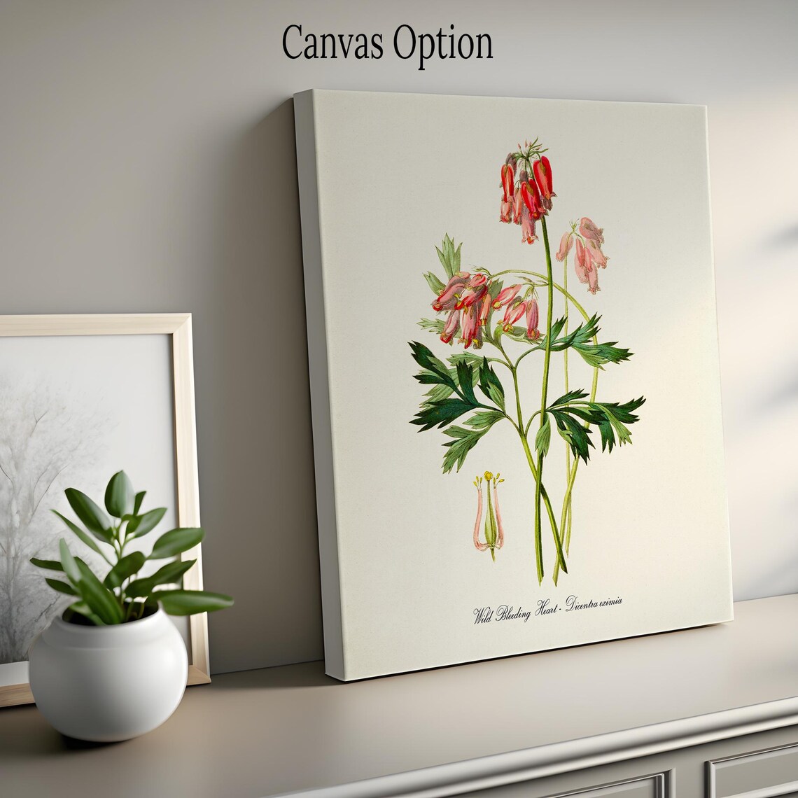 Wild Bleeding Heart Flower Botanical Art Print - Image 2