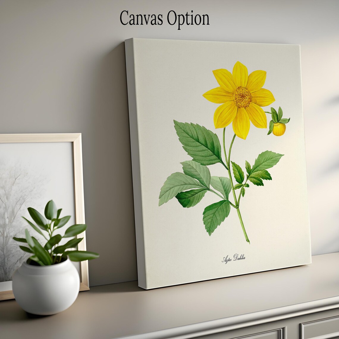 Aztec Dahlia Flower Art Print, Botanical Floral - Image 2