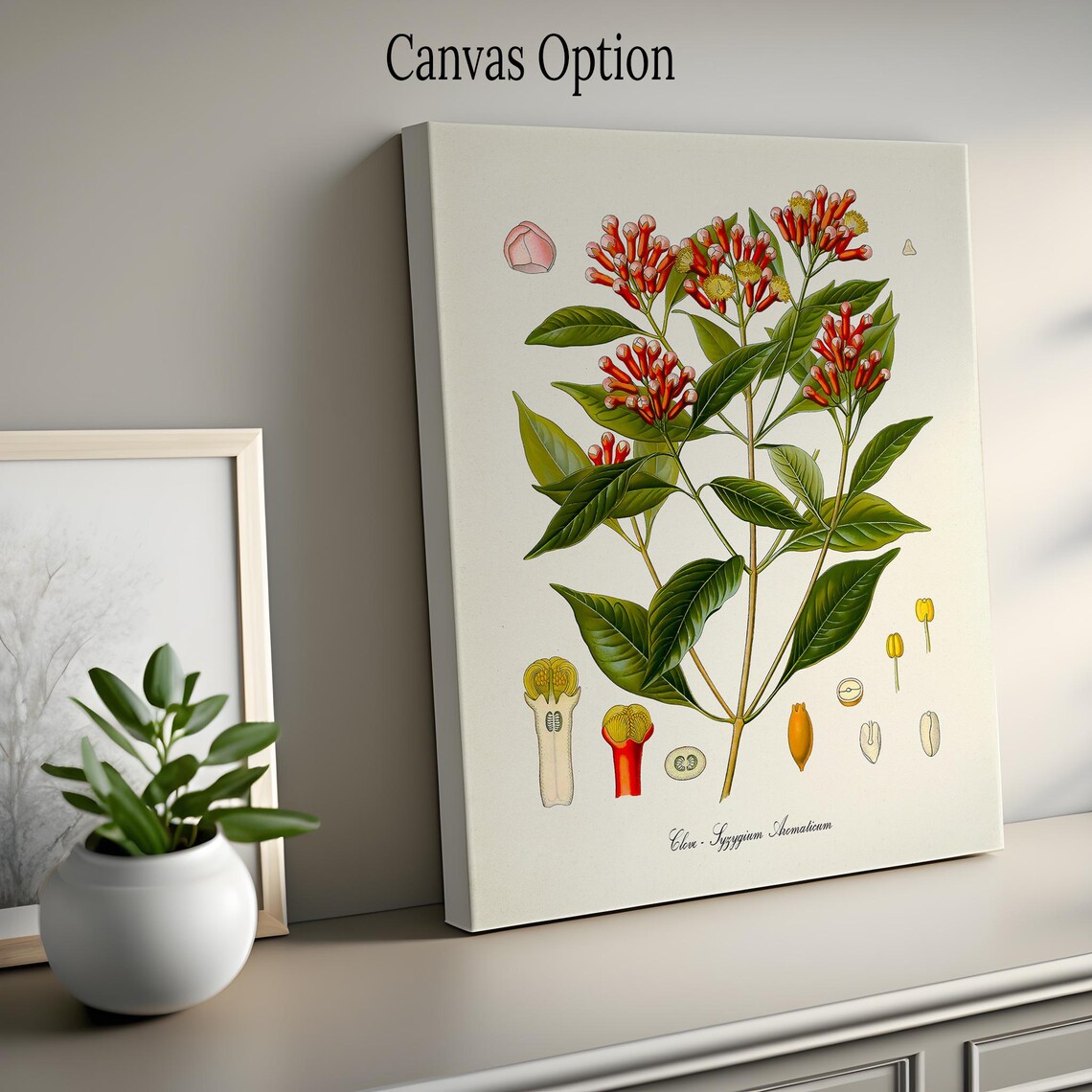Clove Botanical Art Print, Syzygium Aromaticum - Image 2