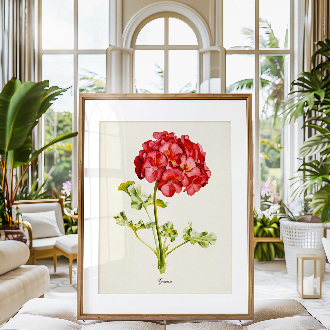 Geranium Flower Botanical Art Print, Floral Decor - Image 3