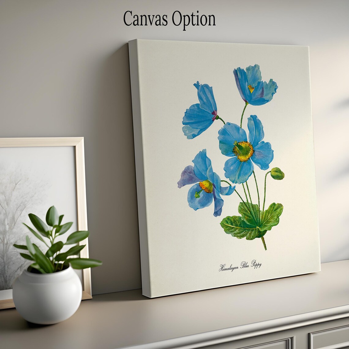 Himalayan Blue Poppy Botanical Wall Art Print - Image 2