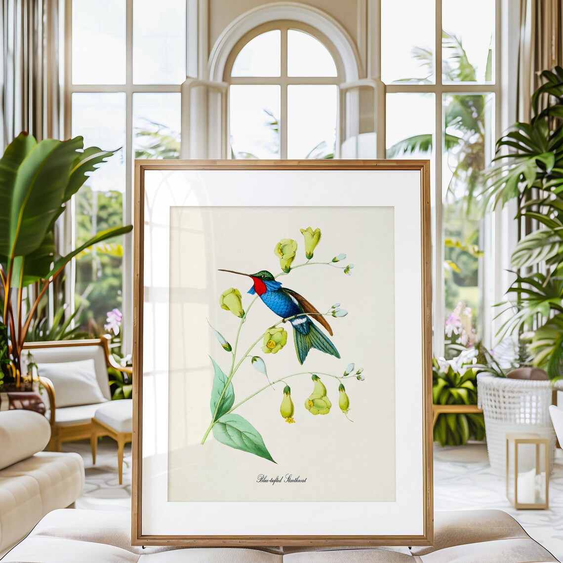 Blue Tufted Starthroat Hummingbird Floral Art Print - Image 3