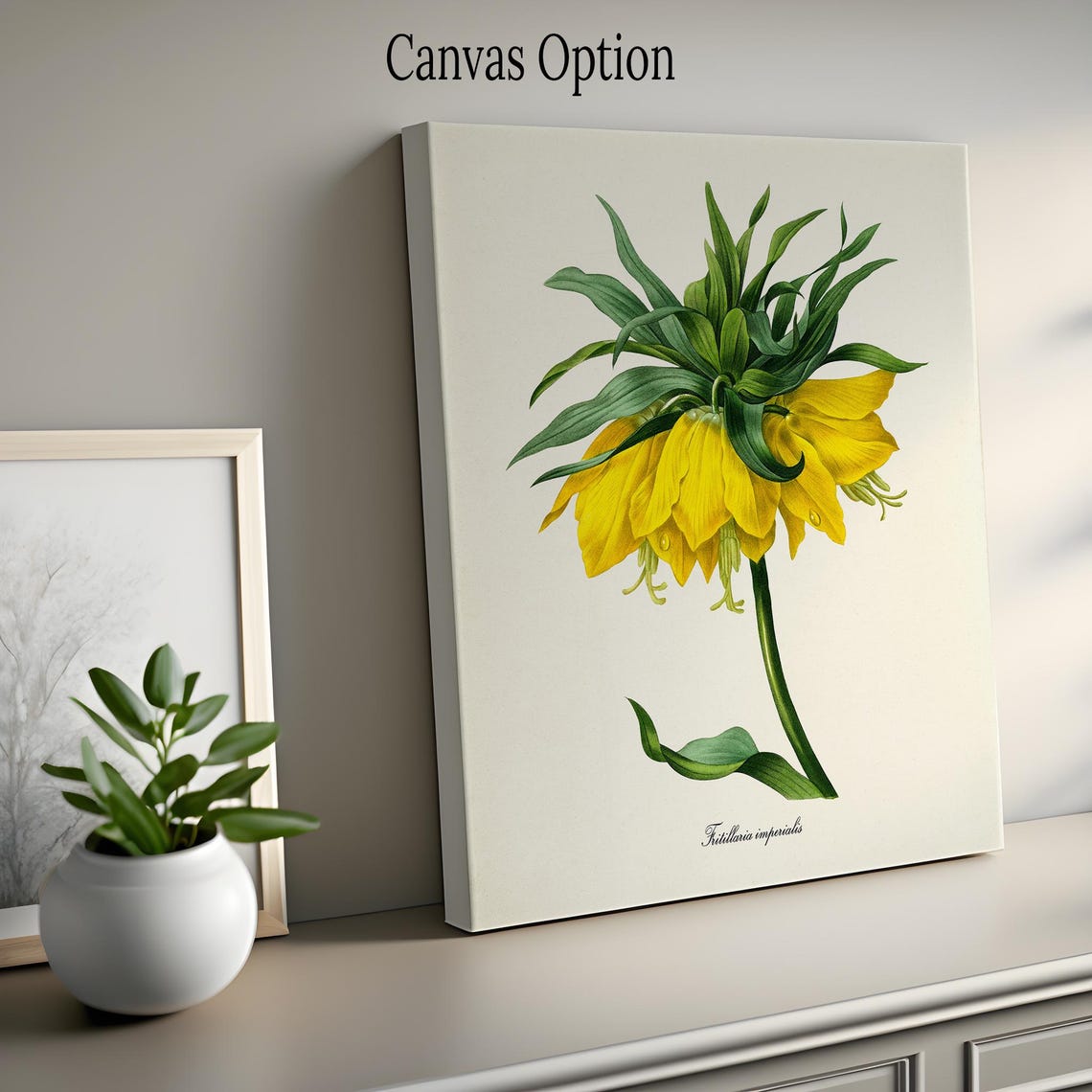 Yellow Crown Imperial Fritillaria Regal Vintage Botanical Poster - Image 2