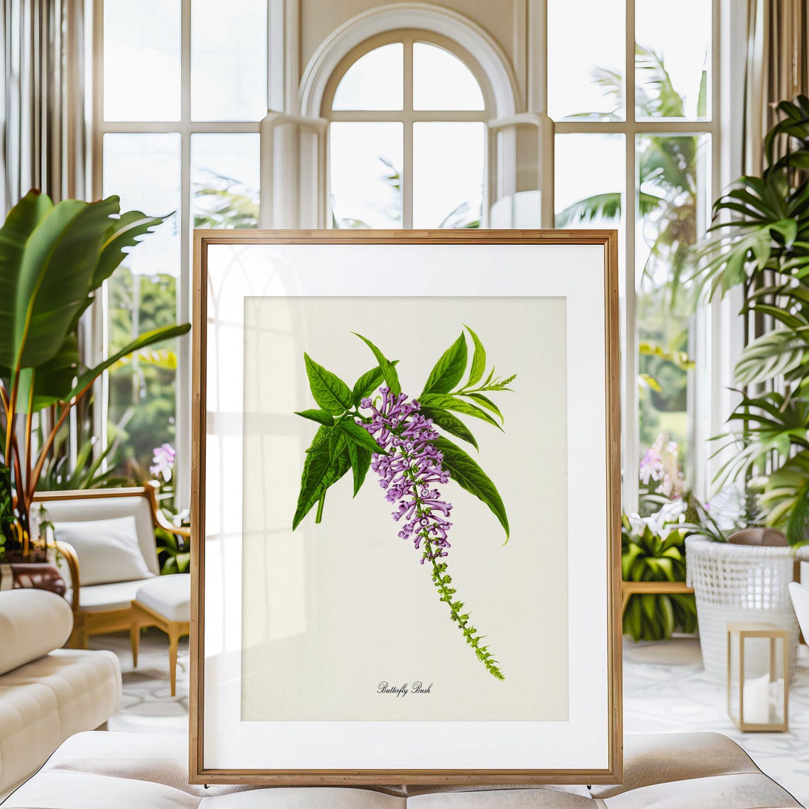 Purple Butterfly Bush Flower Spike Vintage Botanical Study Poster - Image 3