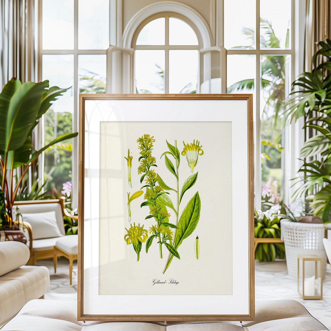 Goldenrod Flower Botanical Art Print, Kentucky State Flower - Image 3