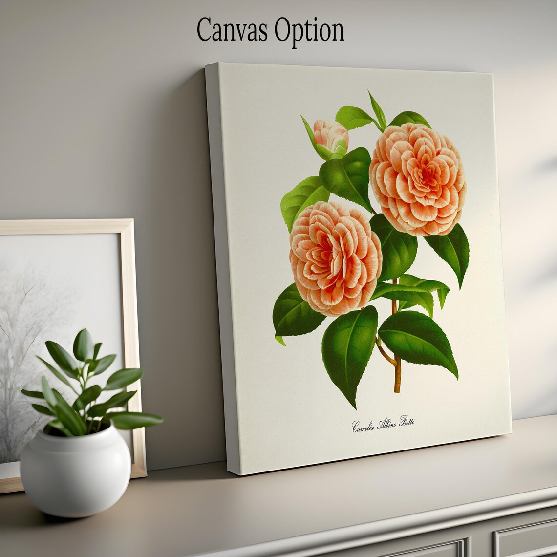 Camelia Albino Botti Botanical Flower Art Print - Image 2