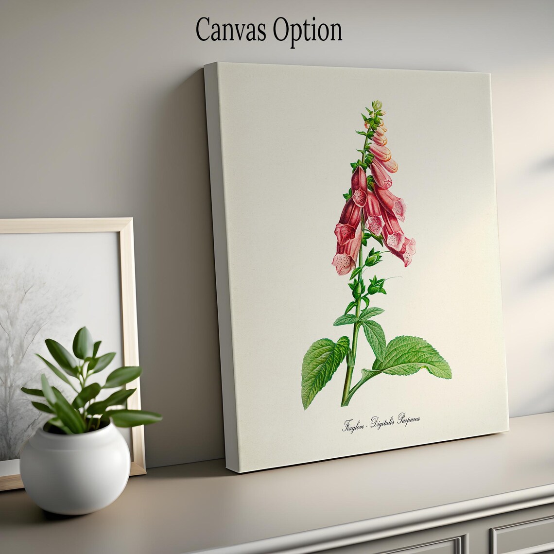 Foxglove Botanical Wall Art Print, Floral Study - Image 2