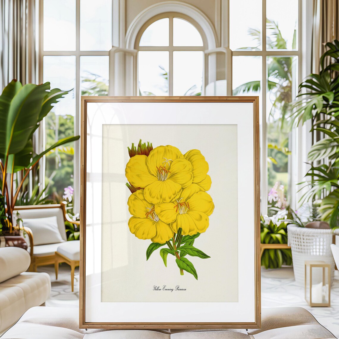 Yellow Evening Primrose Botanical Art Print - Image 3