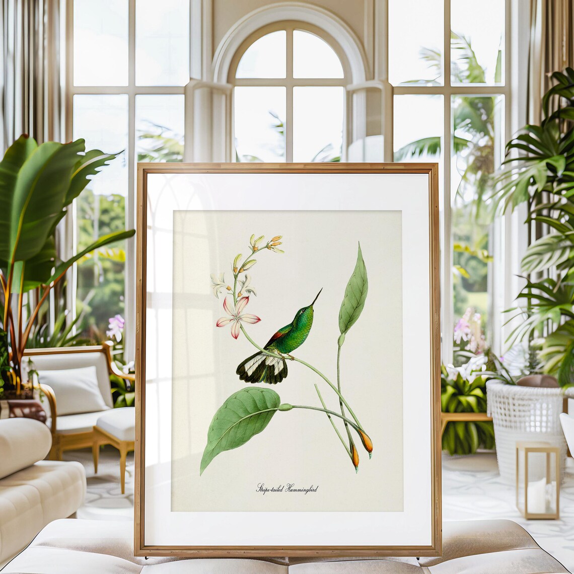 Stripe Tailed Hummingbird Floral Garden Art Print - Image 3